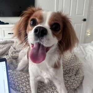 Meet your Posher, Naheed